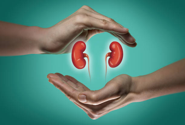 Effective Kidney Exchange Program at Livasa Hoshiarpur - Modern Donor Matching
